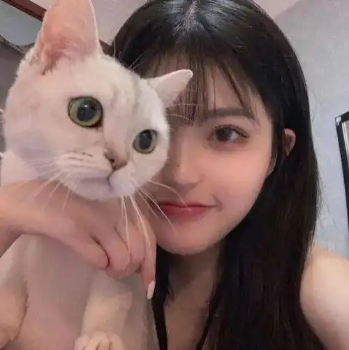 头像图片丨女生头像丨可爱的猫系女头1214
