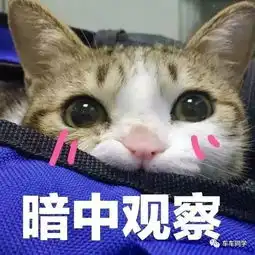 你的头像暴露了心理年龄小学初中高中大学你在哪一类
