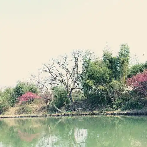 鸟道苔衣滑,人家竹语幽
