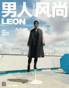 向佐铠甲在外柔情于心
