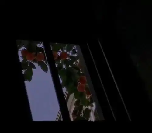 让人意难平的丧系文案
