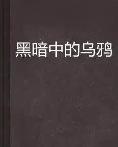 黑暗中的乌鸦
