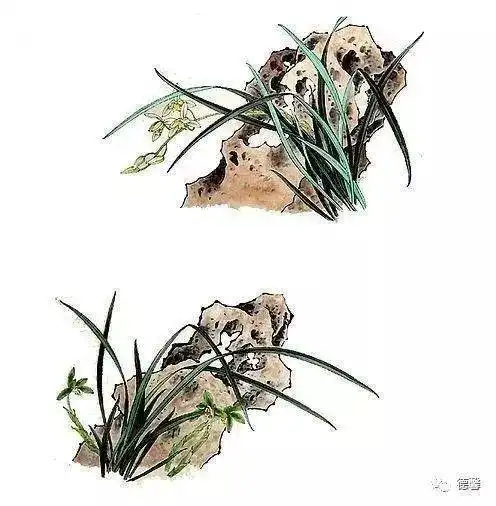 10首诗词,道出最本真的人生哲理梅兰竹菊,太美了
