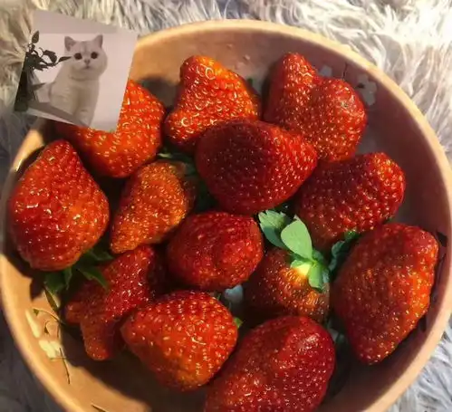 草莓系穿搭照着穿,简直甜甜甜疯了
