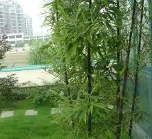 黄页88高清图片
