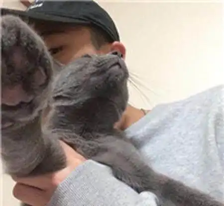 一只养在男生宿舍的猫,被男生们宠上了天,你不怕女朋友吃醋吗

