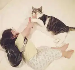生个孩子,养只猫,生活更美好
