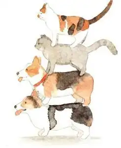 猫系女友vs犬系女友
