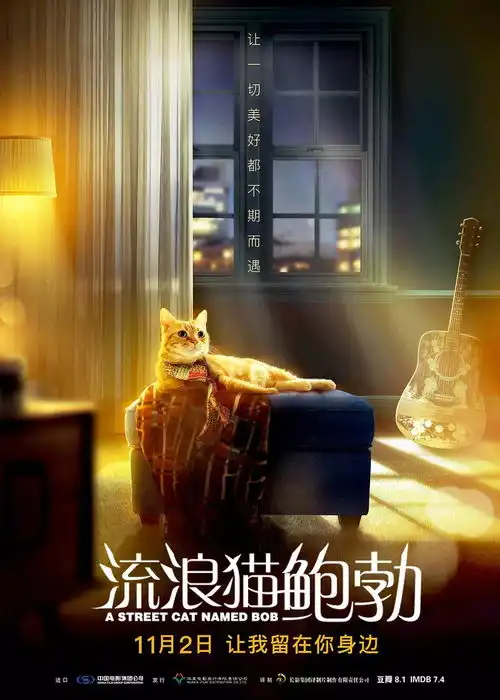 很黄很治愈,没有人能够拒绝它
