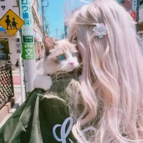 治愈系温柔的小句子
