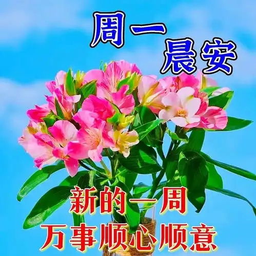 最真挚暖心的早安祝福发中老年朋友,朋友心连心,信息传佳音

