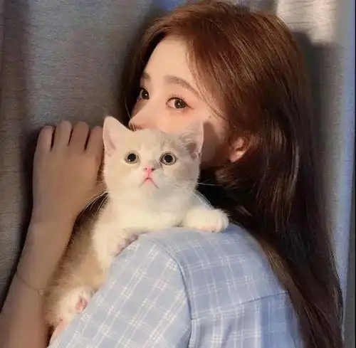 头像图片丨女生头像丨可爱的猫系女头1214
