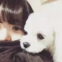 2016韩系女生qq空间头像最新版爱得收不住才算是真的输
