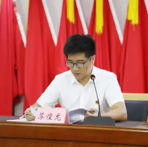 青阳青年,青春飞扬共青团青阳街道团员代表会议胜利召开
