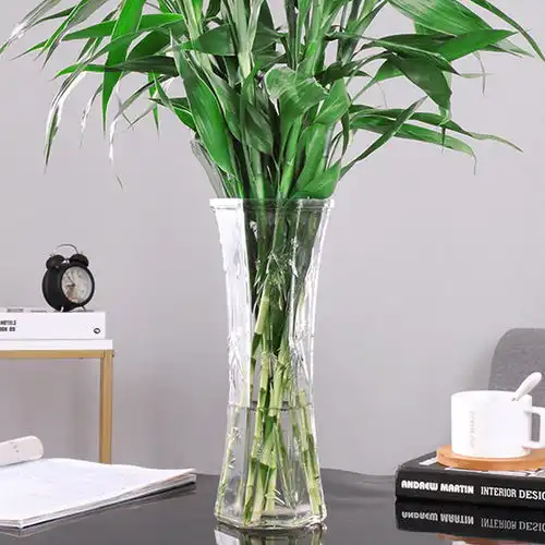 大号玻璃花瓶透明水培百合富贵竹花瓶客厅家用水养鲜花插花瓶摆件
