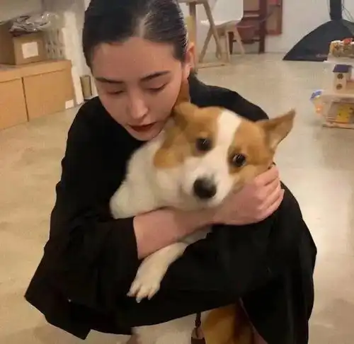 女生头像丨做一个披荆斩棘的女英雄
