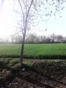 求几个qq头像,不要人图,只要场景照片,就像有某种意境似的,给好评
