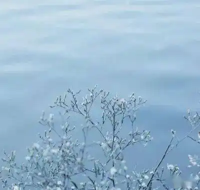 中老年头像大全微信最吉利的好看头像风景意境
