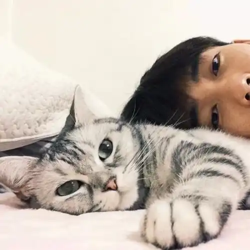 老祖宗直言有这7种特征的猫,真的很旺家
