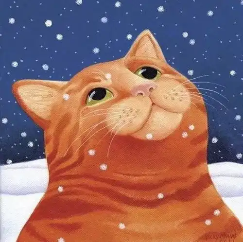 治愈插画特别的猫描绘猫咪种种动人姿态
