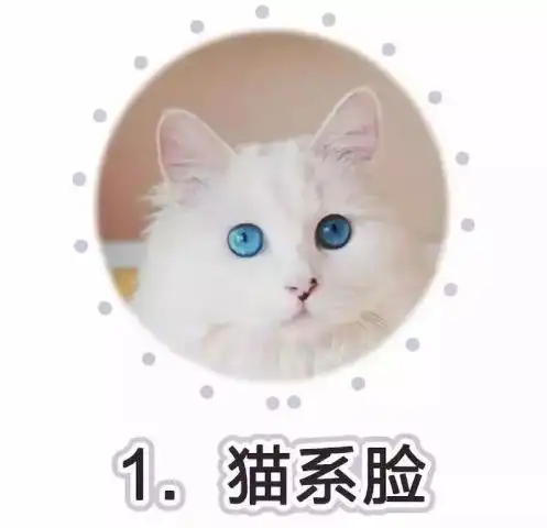 猫系犬系脸被公认为最美长相教你判断自己是什么动物脸
