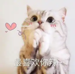 橘猫在线求领养西蒙的猫跑酷乖萌预约中
