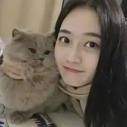 猫趣
