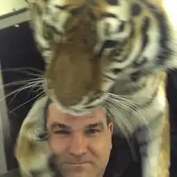 骑老虎遛弯,和熊打架这个俄罗斯男人比贝爷还猛啊
