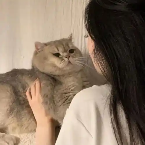 ins女生头像好好生活就是做很多很多有意义的事
