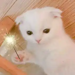kimlin琳的微博微博
