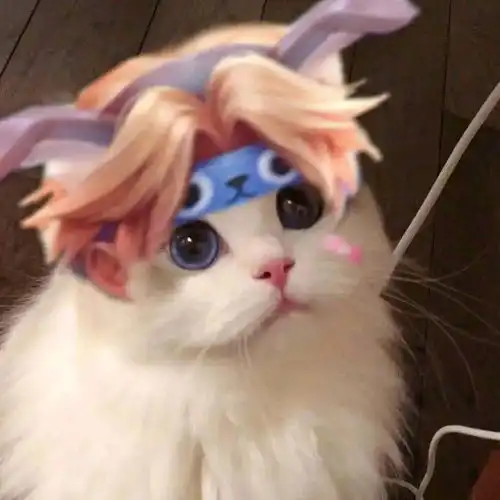 王者荣耀猫猫头像图

