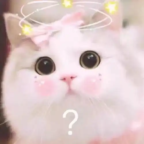 每日表情丨猪猪女孩必备
