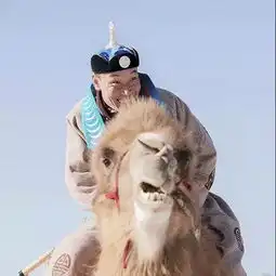 非遗巴彦淖尔蒙古族驼球游牧一族的竞技,驼背上的战斗
