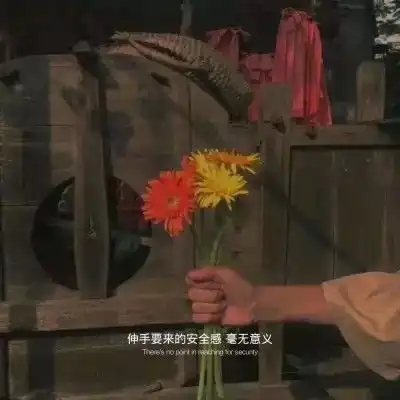 很丧却很喜欢的文案
