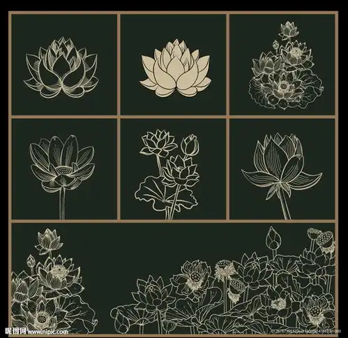 矢量手绘荷花系列设计图
