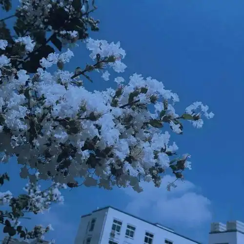 优质文案不要向这个世界认输你还有超级棒的梦想
