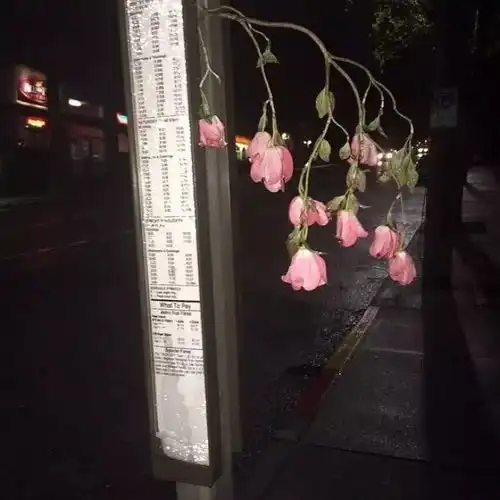 超好看背景图
