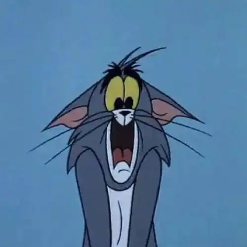 喜欢猫和老鼠头像合集
