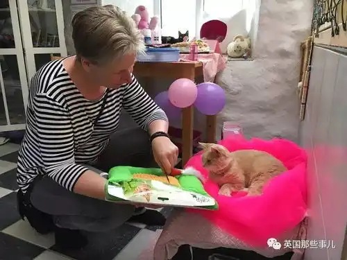 暖心的大橘猫在医院里工作这么久,没给发个最佳员工奖,反倒给告上法庭了
