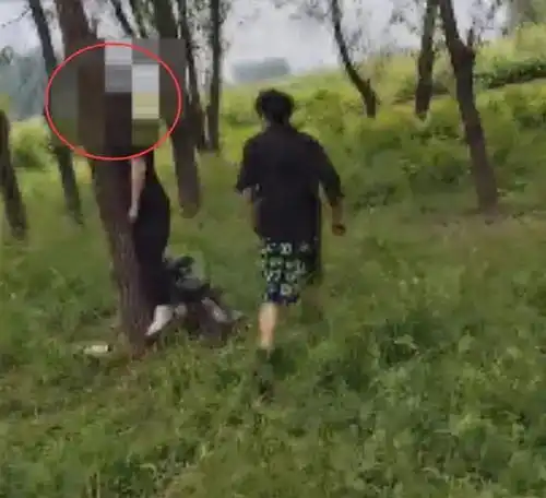 河南一女子在树林自缢身亡,警方回应
