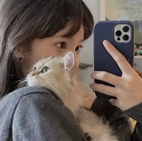几个小心机,教你轻轻松松拍出头像感自拍
