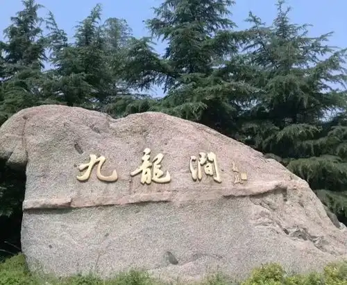 打卡潍坊夏日森林秘境,满屏都是绿色
