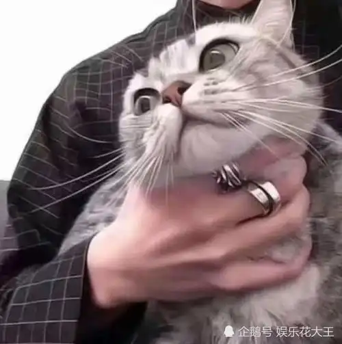 超甜可爱动漫情头我的一生借你一程,这一程便是余生
