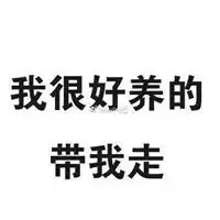 霸气表白系列文字还不表白微信头像图片大全
