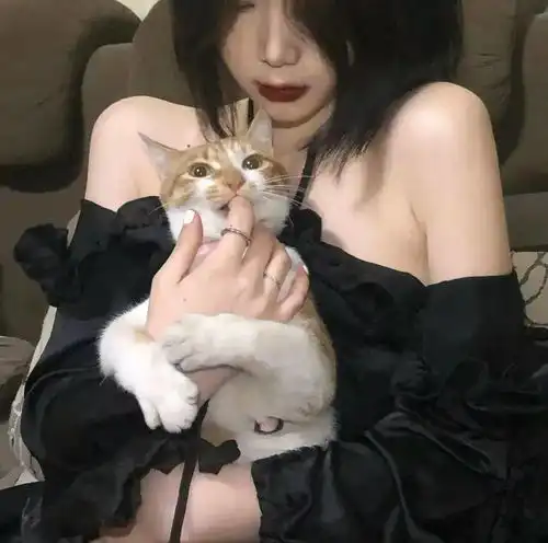头像图片丨女生头像丨可爱的猫系女头1214
