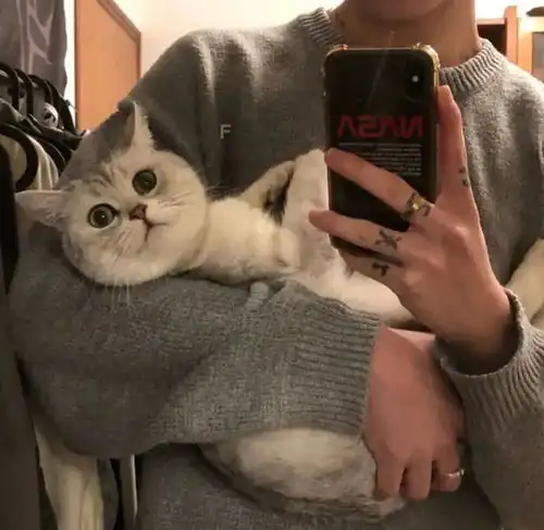 个性男生头像
