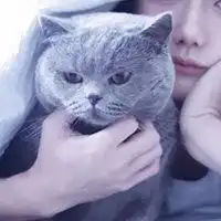 情侣头像女友不是人系列微信头像图片大全
