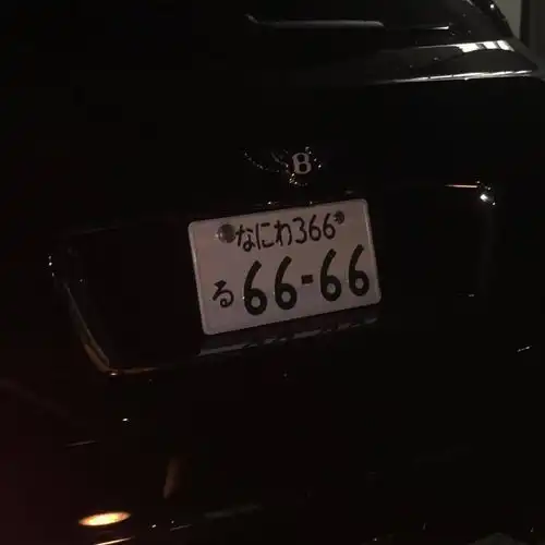 特别的背景图怎么还念念不忘
