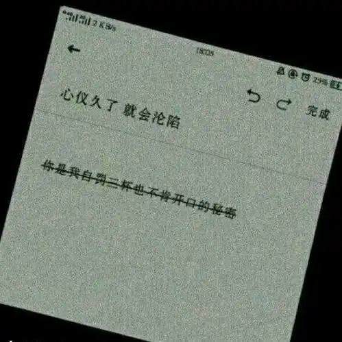 超级心酸的丧系文案
