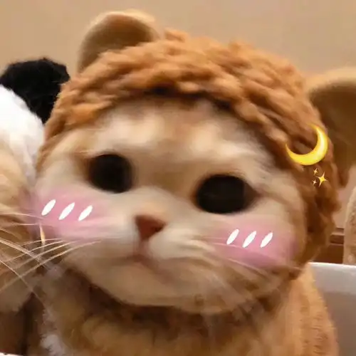 如果你在猫砂里拉屎,猫主子会帮你埋吗
